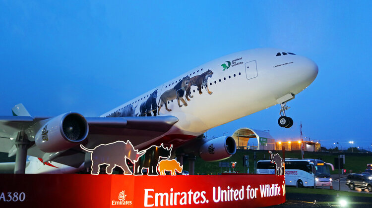 Emirates angażują się w walkę z nielegalnym handlem dzikimi zwierzętami środowisko naturalne/ekologia, sprawy społeczne - 