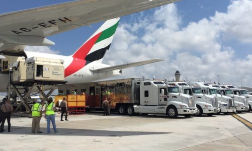 Emirates SkyCargo przewiozły blisko 100 koni przez trzy kontynenty